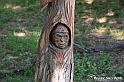 VBS_4704 - Il bosco fatato - Montaldo Roero